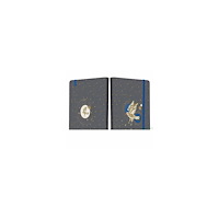 Insight Editions Harry Potter: Ravenclaw Constellation Softcover Notebook (häftad, eng)