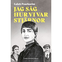 Laleh Pourkarim Jag såg hur vi var stjärnor (inbunden)