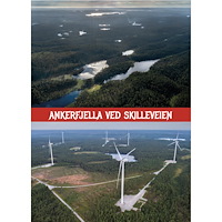 Irene Publishing Ankerfjella ved skilleveien (bok, board book, nor)