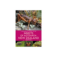 John Beaufoy Publishing Ltd A Naturalist’s Guide to the Insects of Aotearoa New Zealand (häftad, eng)