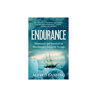 Orion Publishing Co Endurance: Shackleton's Incredible Voyage (häftad, eng)