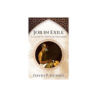 Orbis Books (USA) Job In Exile: A Guide for Spiritual Refugees (häftad, eng)
