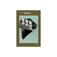 Essential Works Ltd Time Flies: The Story of Porcupine Tree (häftad, eng)