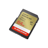 SANDISK SanDisk Extreme Go