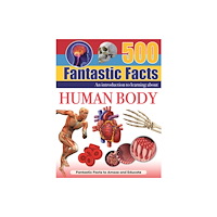 North Parade Publishing Human Body (inbunden, eng)
