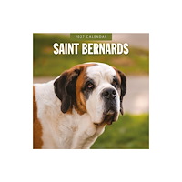 Red Robin Publishing Ltd. Saint Bernards 2027 Square Wall Calendar (häftad, eng)