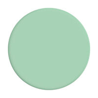 POPSOCKETS Basic Grip Pastel Mint