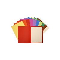 EXACOMPTA Mapp FOREVER recy sort.färg 100/fp