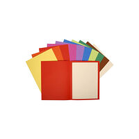 EXACOMPTA Mapp FOREVER recy sort.färg 100/fp